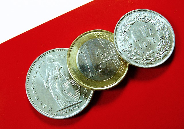 švýcarské franky a euro